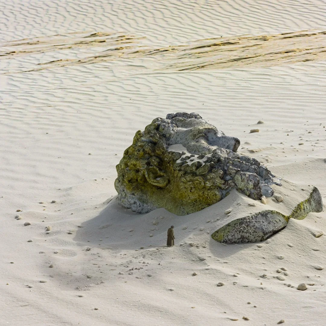 DSC_4666.jpg