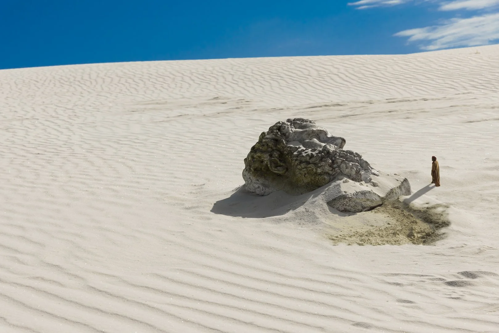 DSC_4674.jpg