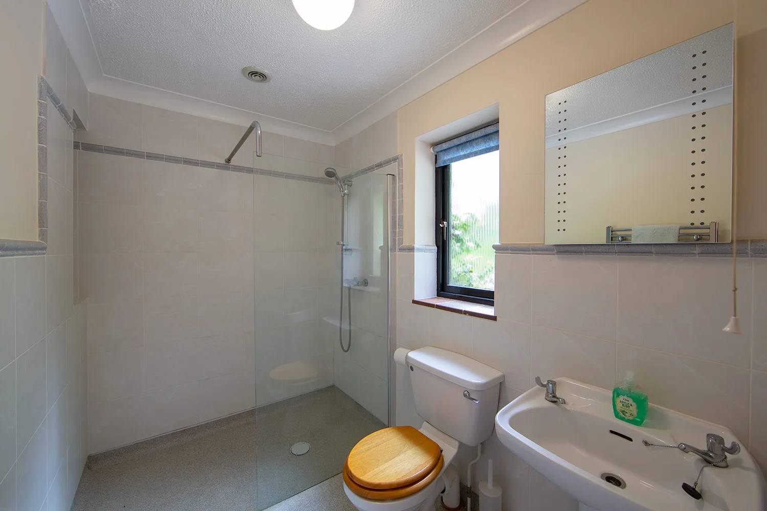 Above: Our wheelchair-friendly en-suite in the ground floor bedroom