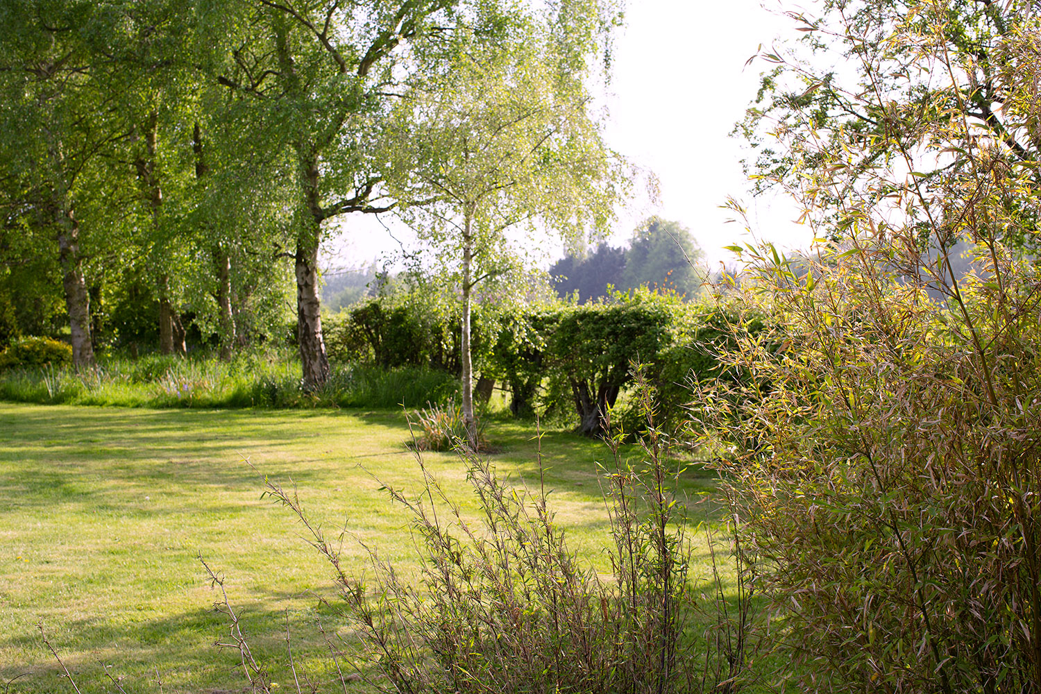 Self-Catering-in-Loddon-with-Spacious-Garden.jpg