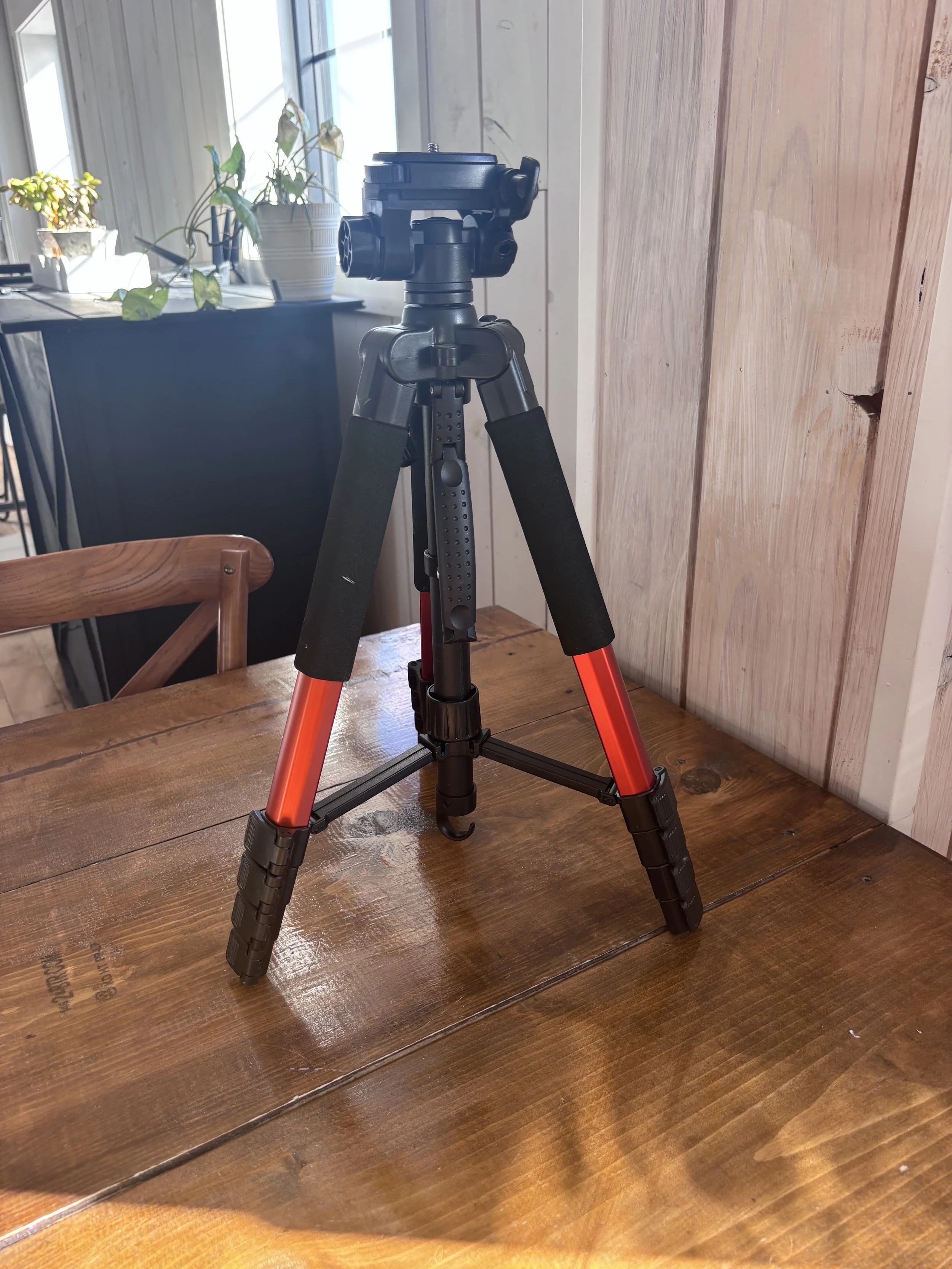 Camera Stand — Little Lights on the Lane