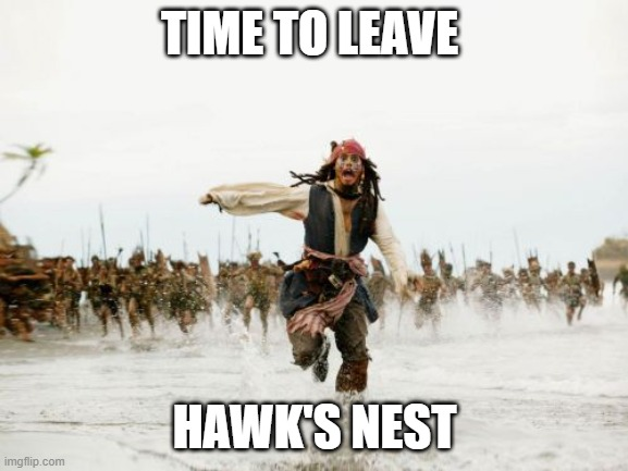 Leaving The Nest