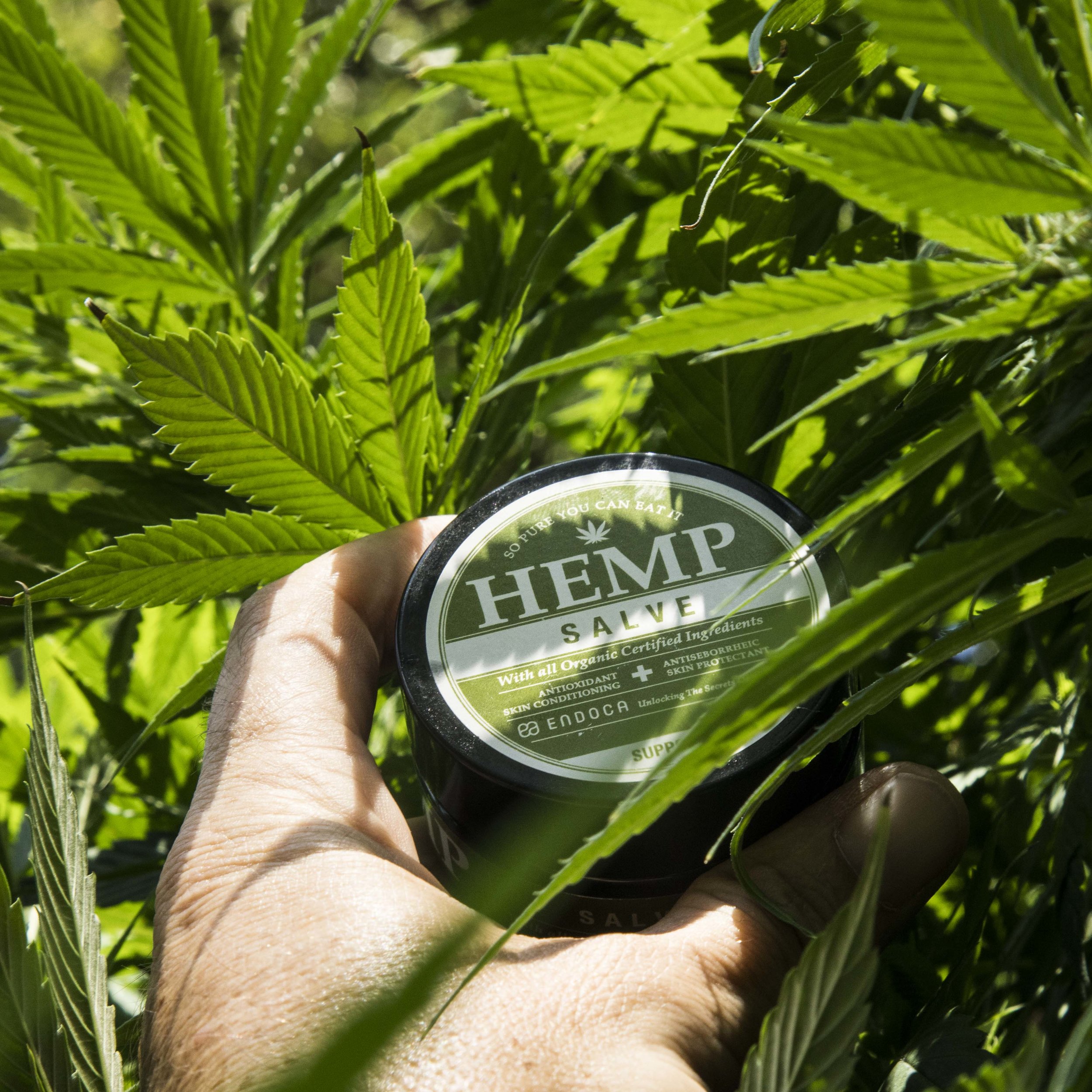 INDUSTRIAL HEMP, THE NEXT STEP FOR ARIZONA 