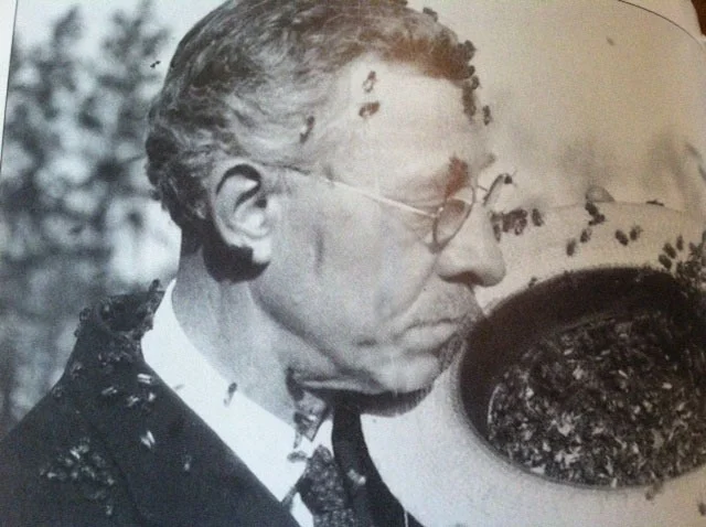 A.I. Root