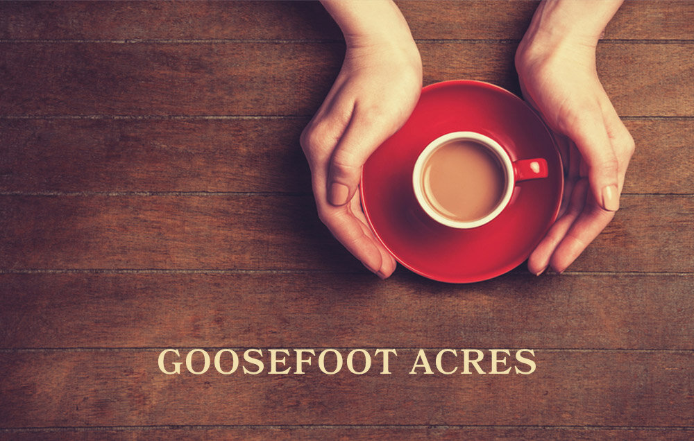 Goosefoot Acres, Inc. and the Goosefoot Acres Center for Resourceful Living were launched in 1988 to help people learn how to use the resources nature provides to make the things they need, instead of buying them. Chief among these things were the edible and useful wild plants growing underfoot.