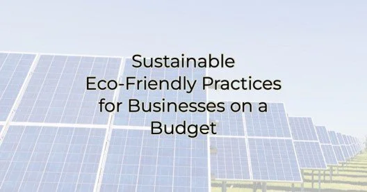 Sustainable Eco-Friendly Practices for Businesses on a Budget