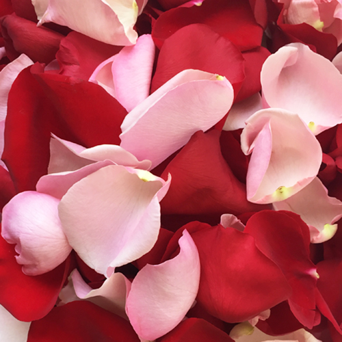 Rose Petals Gerychs