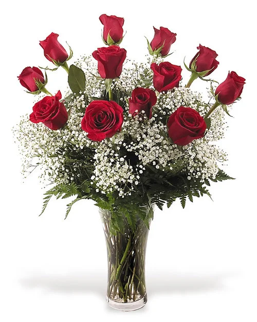 Dozen Red Roses + Fillers