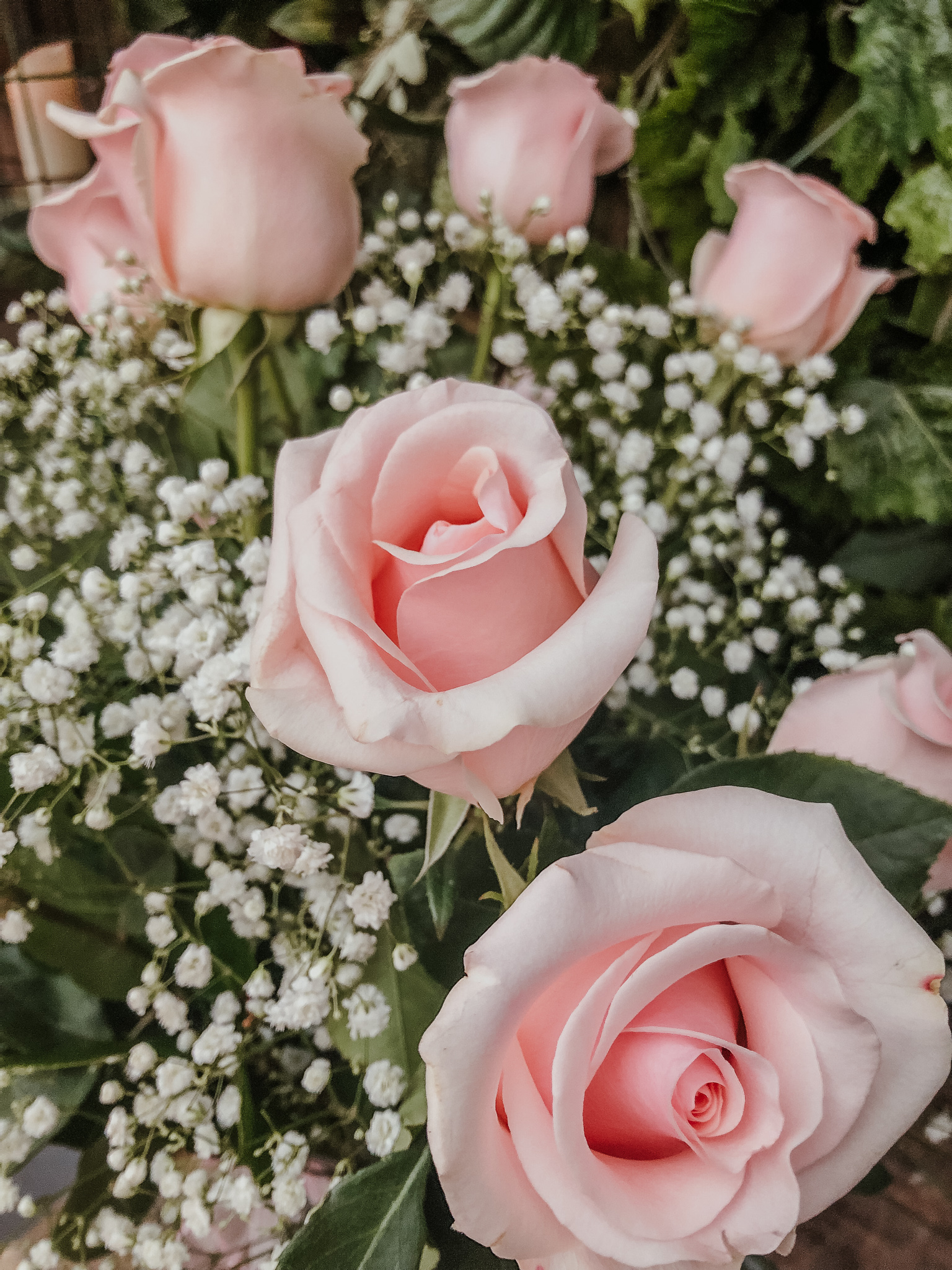 Dozen Pink Roses and Baby's Breath — GERYCHS