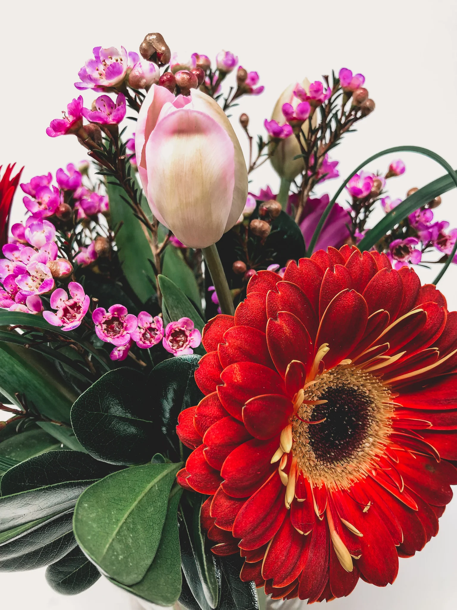 Tulip and Gerbera Daisy Spring Arrangement — GERYCHS