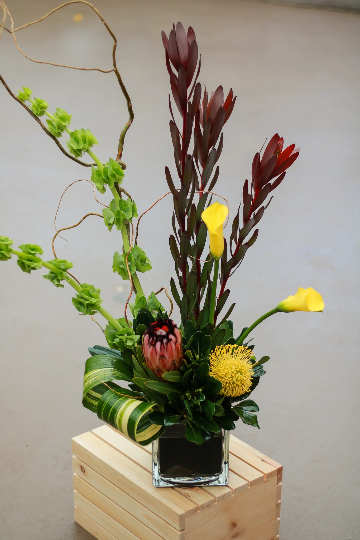 Positively Protea