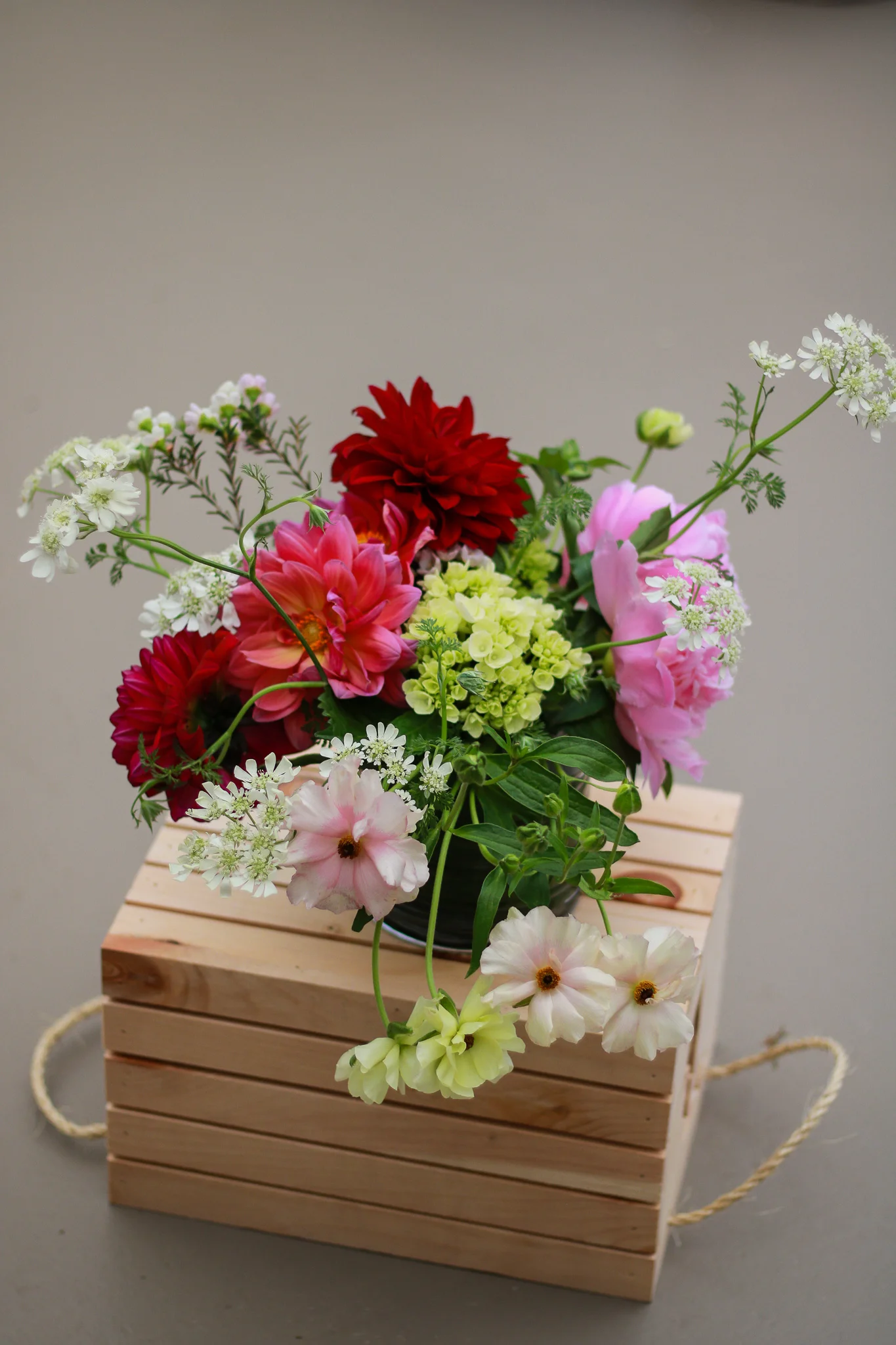 Wild Flowers