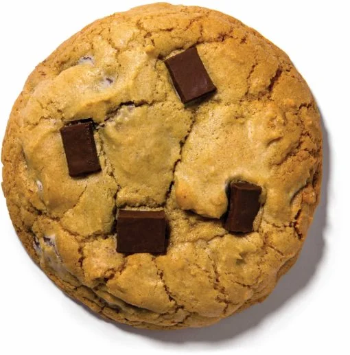 ChocolateChip-510x517.jpg