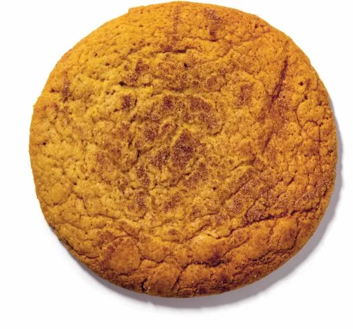 Snickerdoodle-1-510x475.jpg