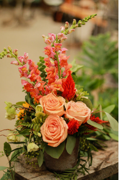 SEASONS WARMTH 47.50.PNG