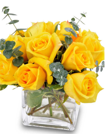 YELLOW ROSE BRAVO 98.PNG