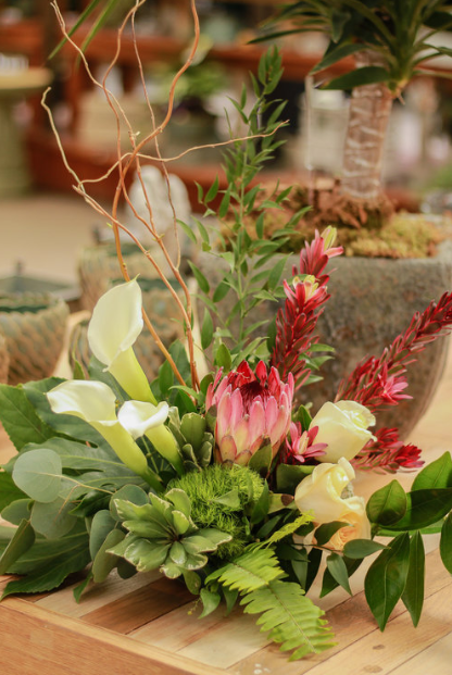 NATURAL TROPICS 60.PNG