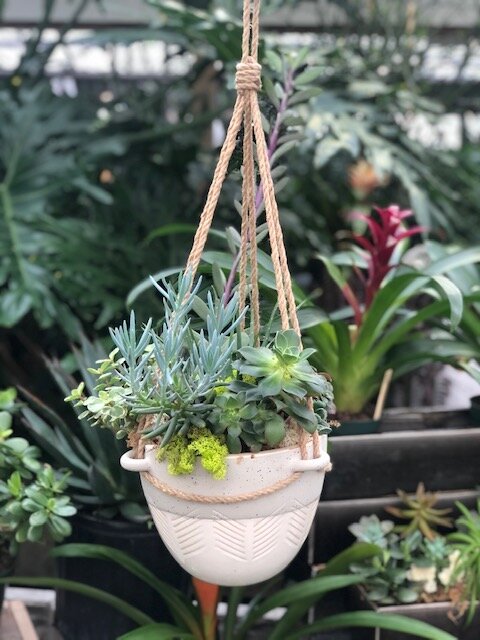 Macrame Succulent Hanger