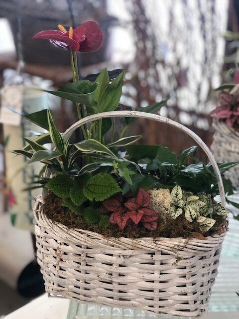 Basket European Garden