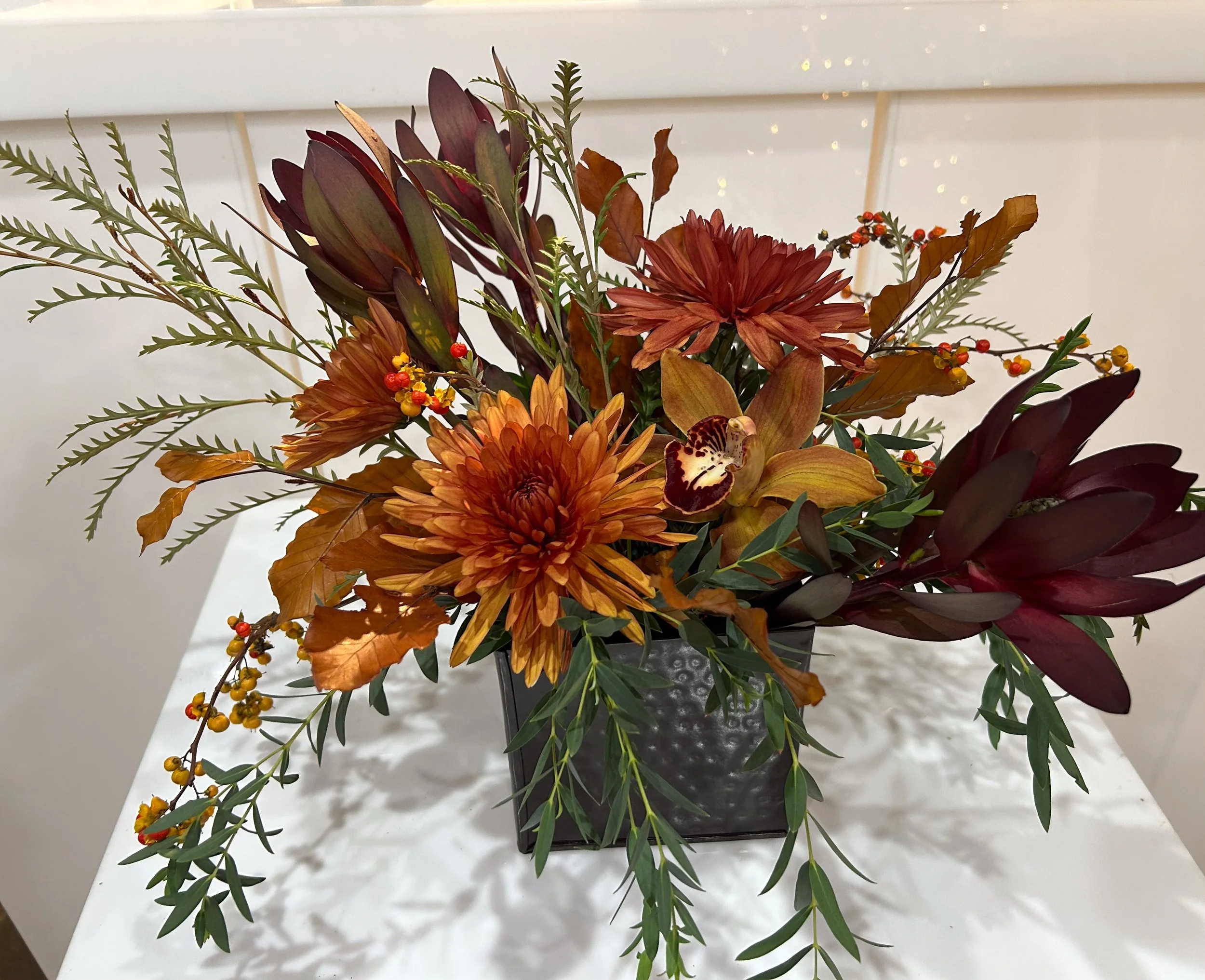 FullSizeRender 2.jpg