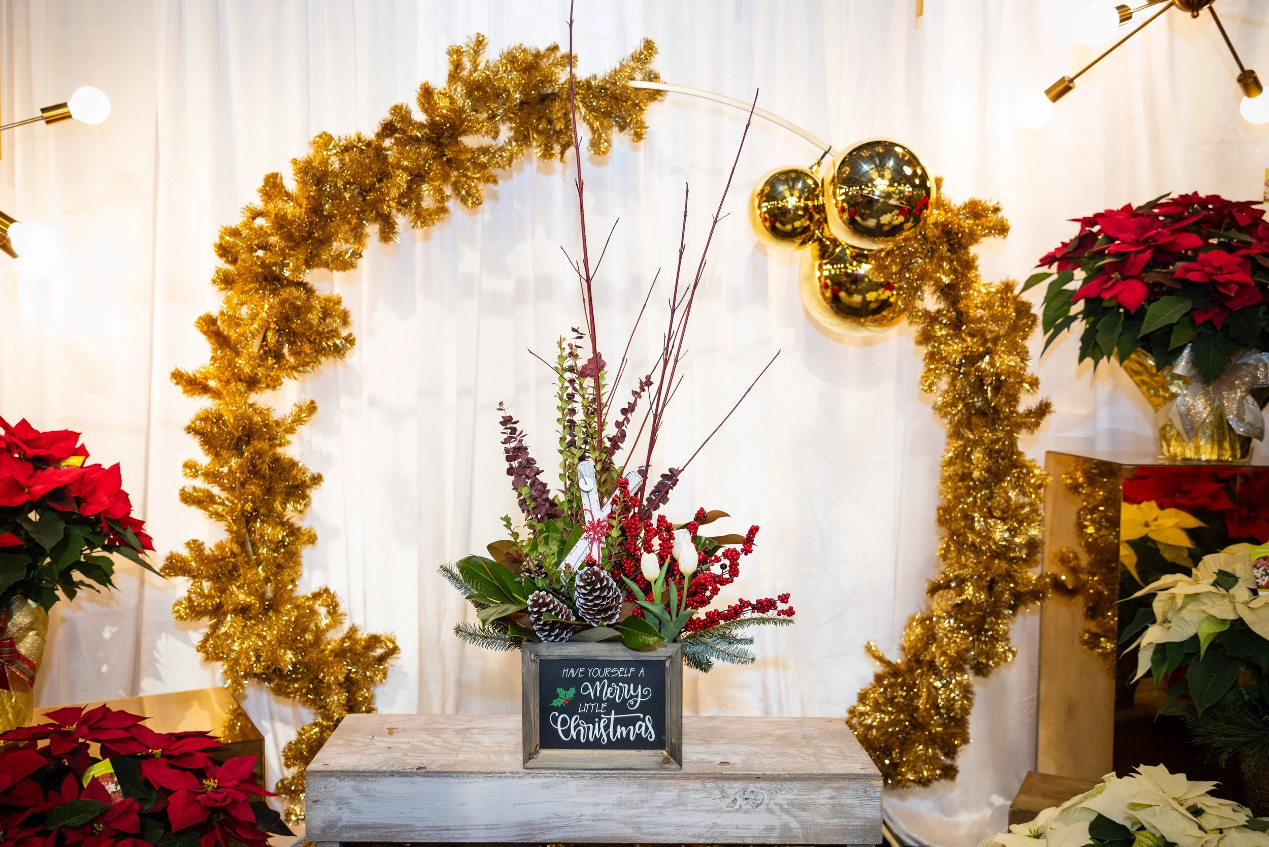 Merry Little Christmas