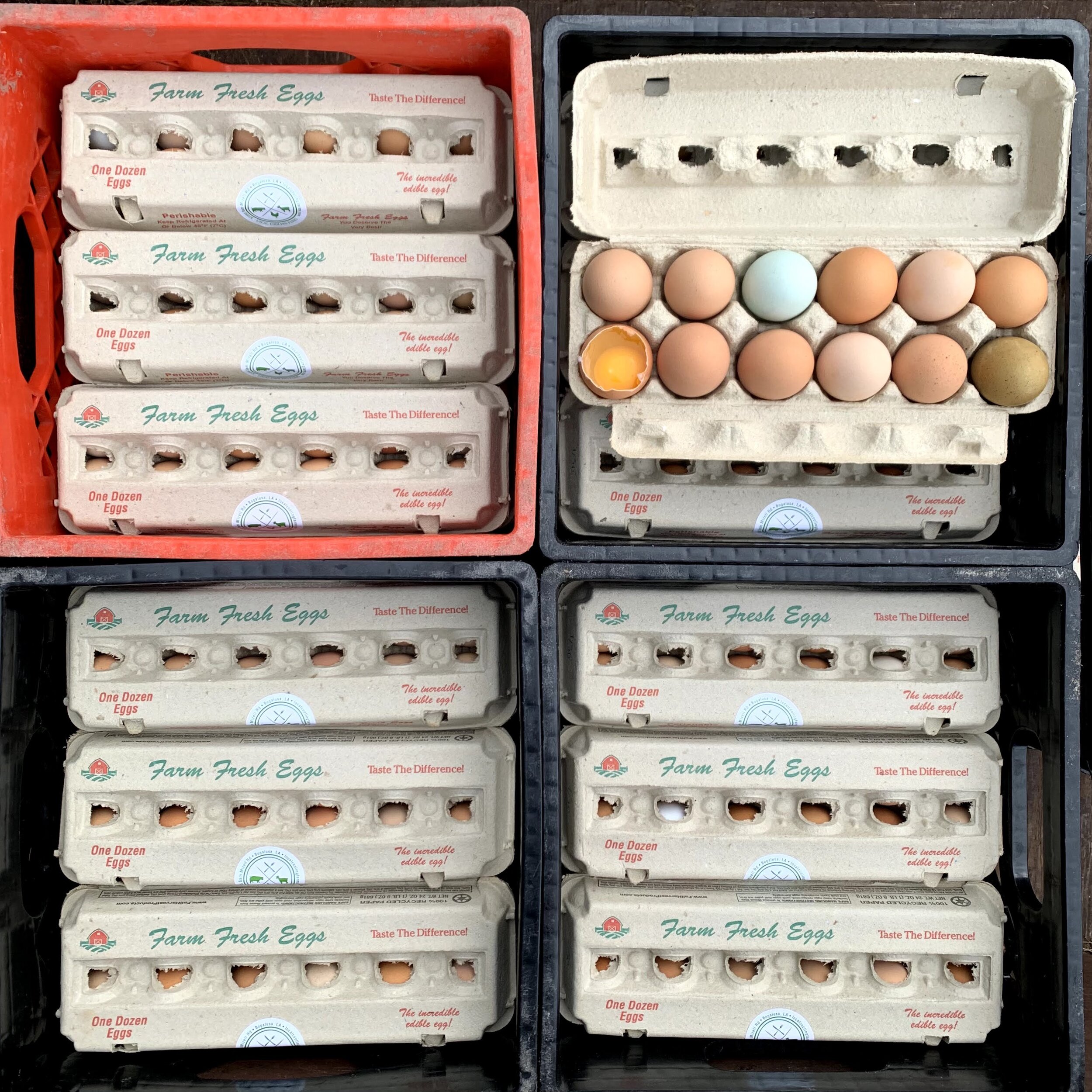 crates of eggs.jpg