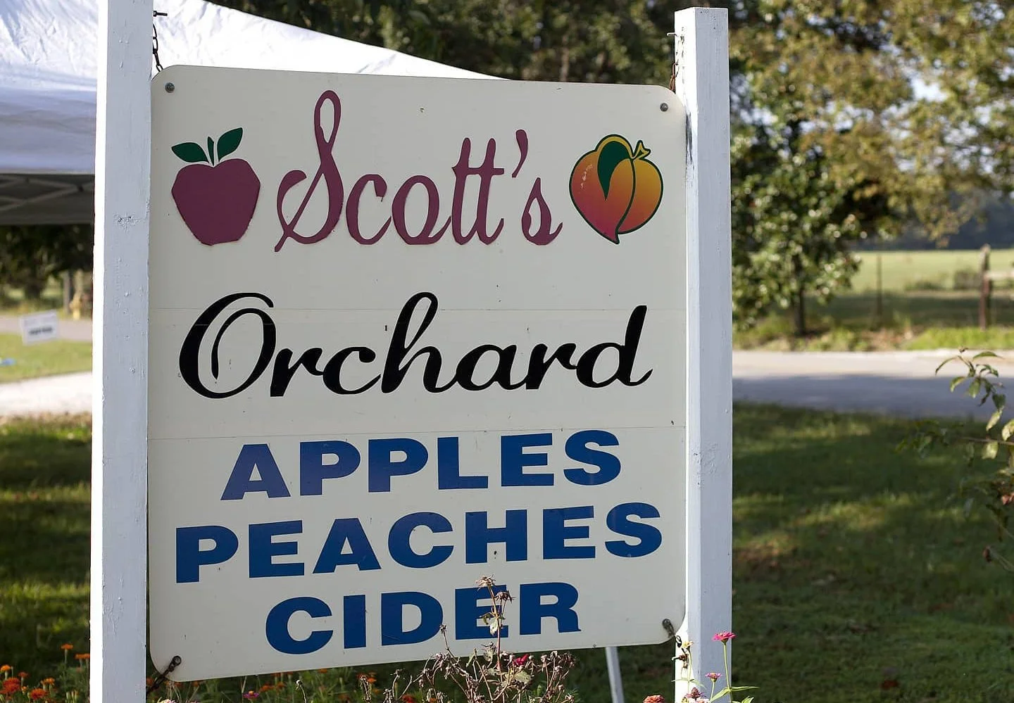 SCOTT'S ORCHARD