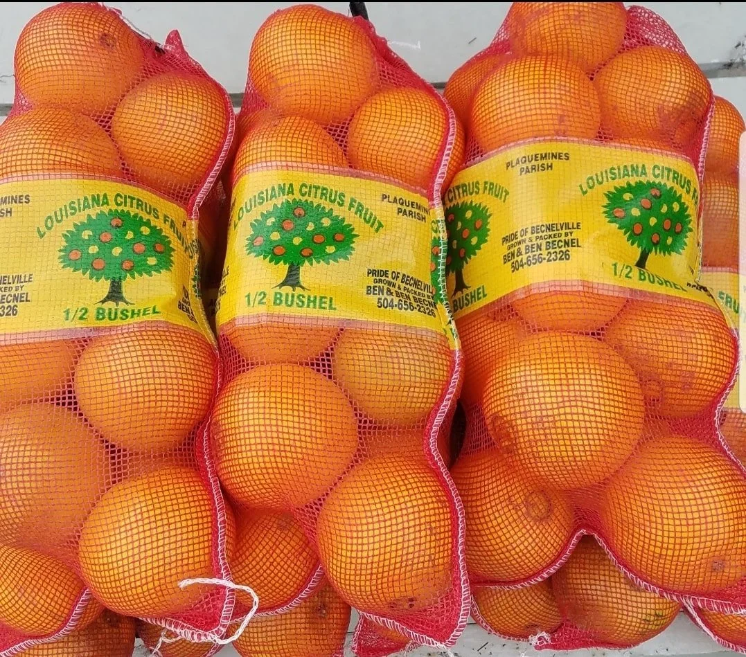 BEN &amp; BEN BECNEL CITRUS &amp; VEGETABLE FARM