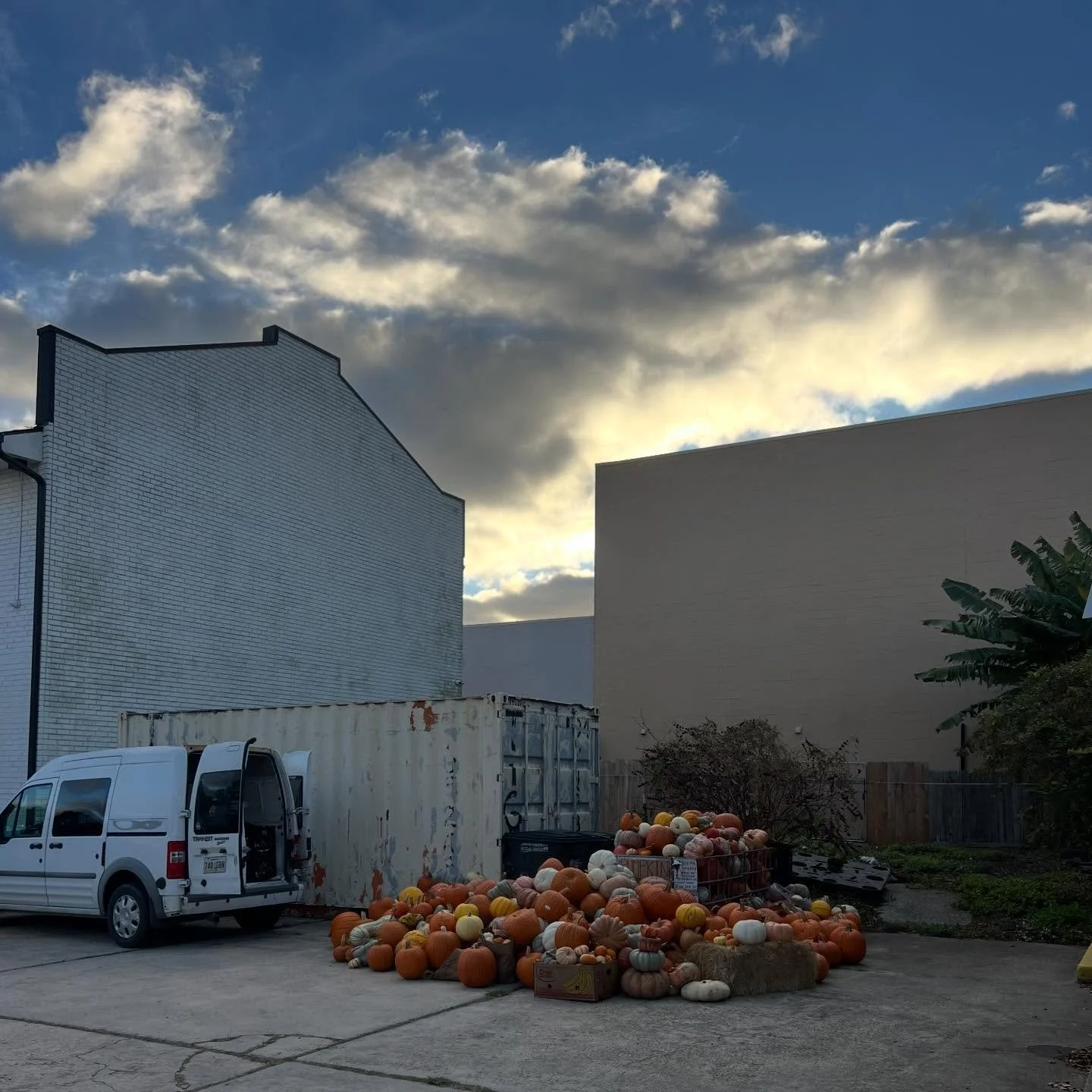 Sun sets on pumpkin mountain, Metairie, La.

🤣🤣🤣

The post-Thanksgiving weekend pumpkin drop offs didn&rsquo;t disappoint and now all pumpkins that the goats and pigs ate in November are going to be a mere appetizer to what they&rsquo;re going to 