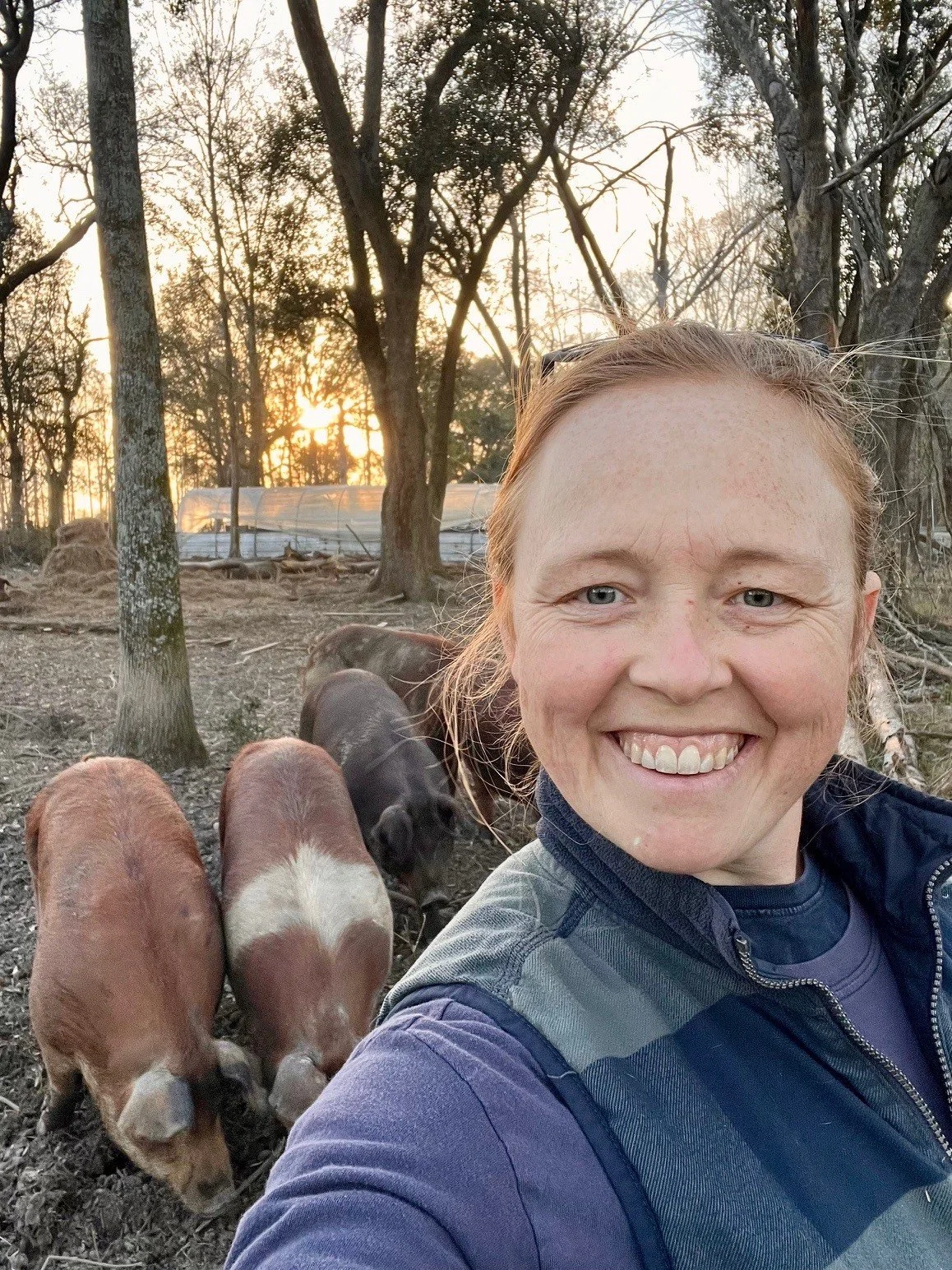 January on the Farm: Pig Moves &amp; Pork Harvests, Gestating Goats, Hatching Ducklings, Hay for Chickens, Bale Grazing Cattle + Temperature Swings &amp; Downpours!