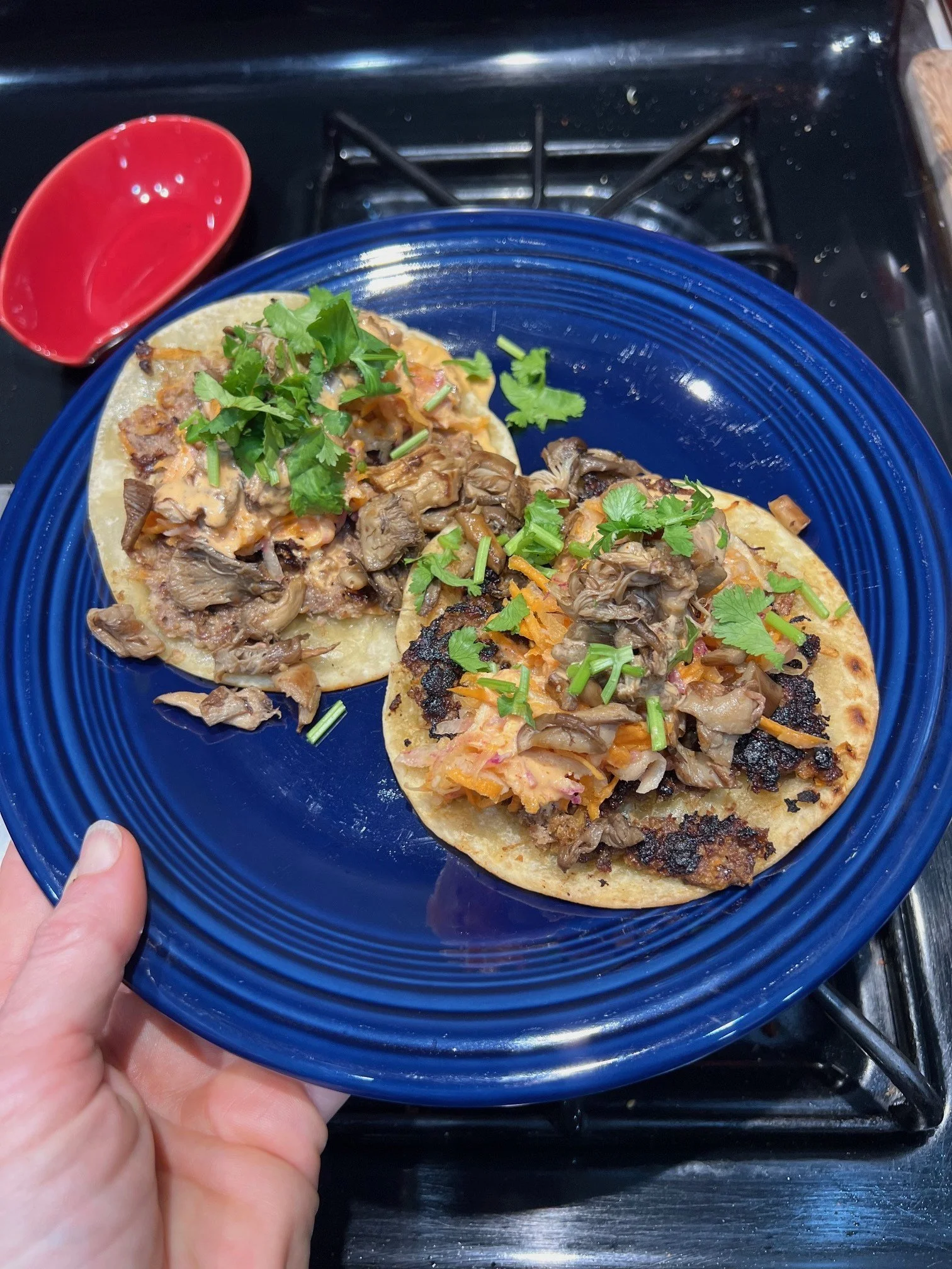 Egg Roll Tacos, Caramelized Beef &amp; Peanut Noodles, Goat Kathi Rolls &amp; Homemade Naan, Chicken Gnocchi Soup, Carrot Cake Cupcakes &amp; More!