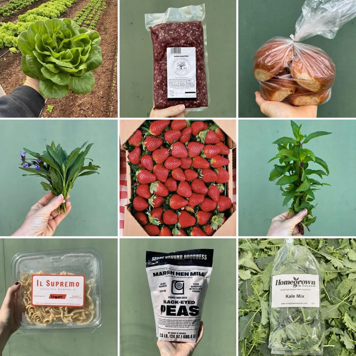 Scroll for COUPON CODE ⬇️

We don&rsquo;t expect to be super busy today because of French Quarter Fest, but we have lots of gorgeous local groceries for you if you&rsquo;re not festin&rsquo;!

Use FEST10 for online orders today only for 10% off your 