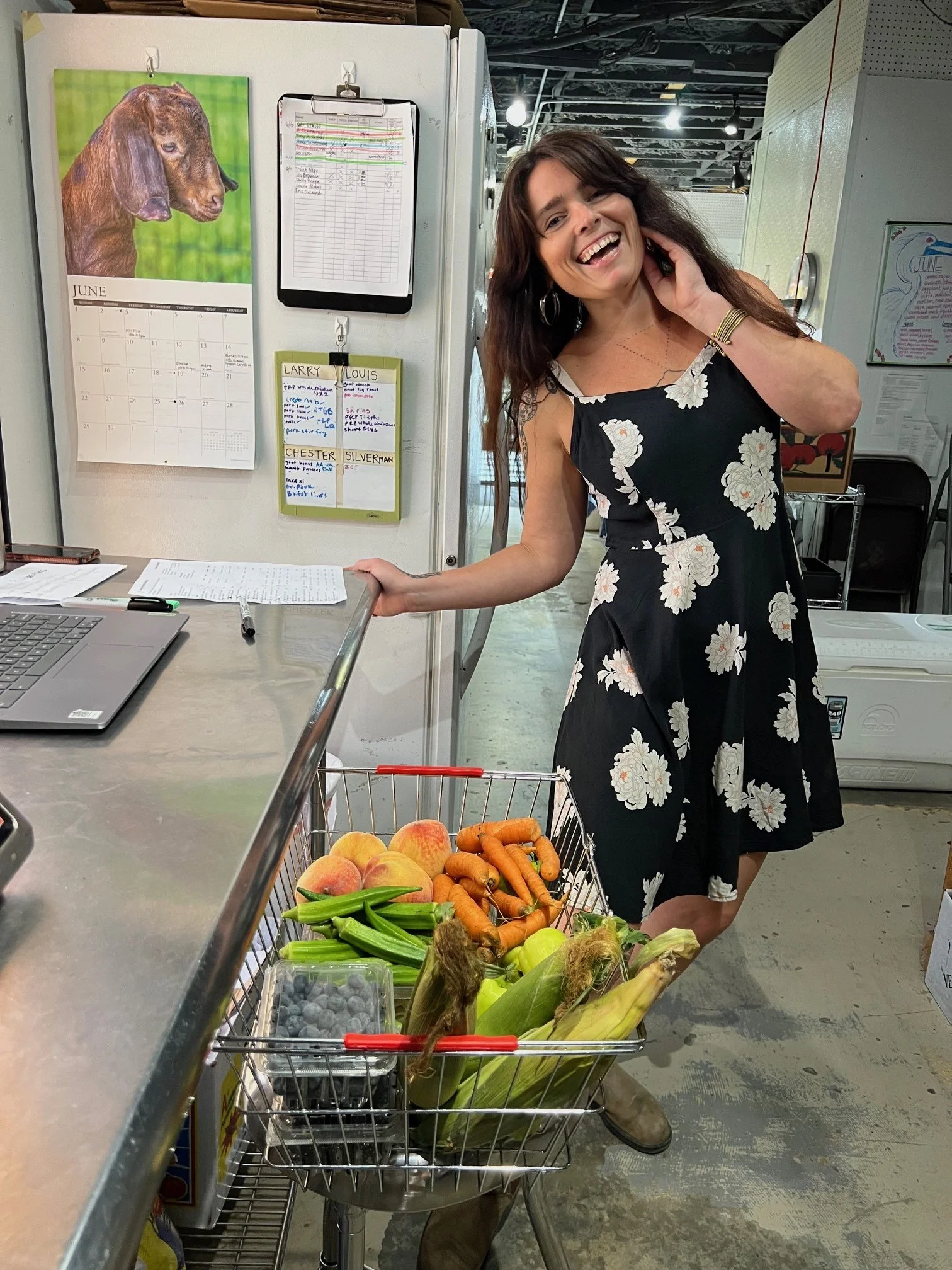 BB at Work.jpg