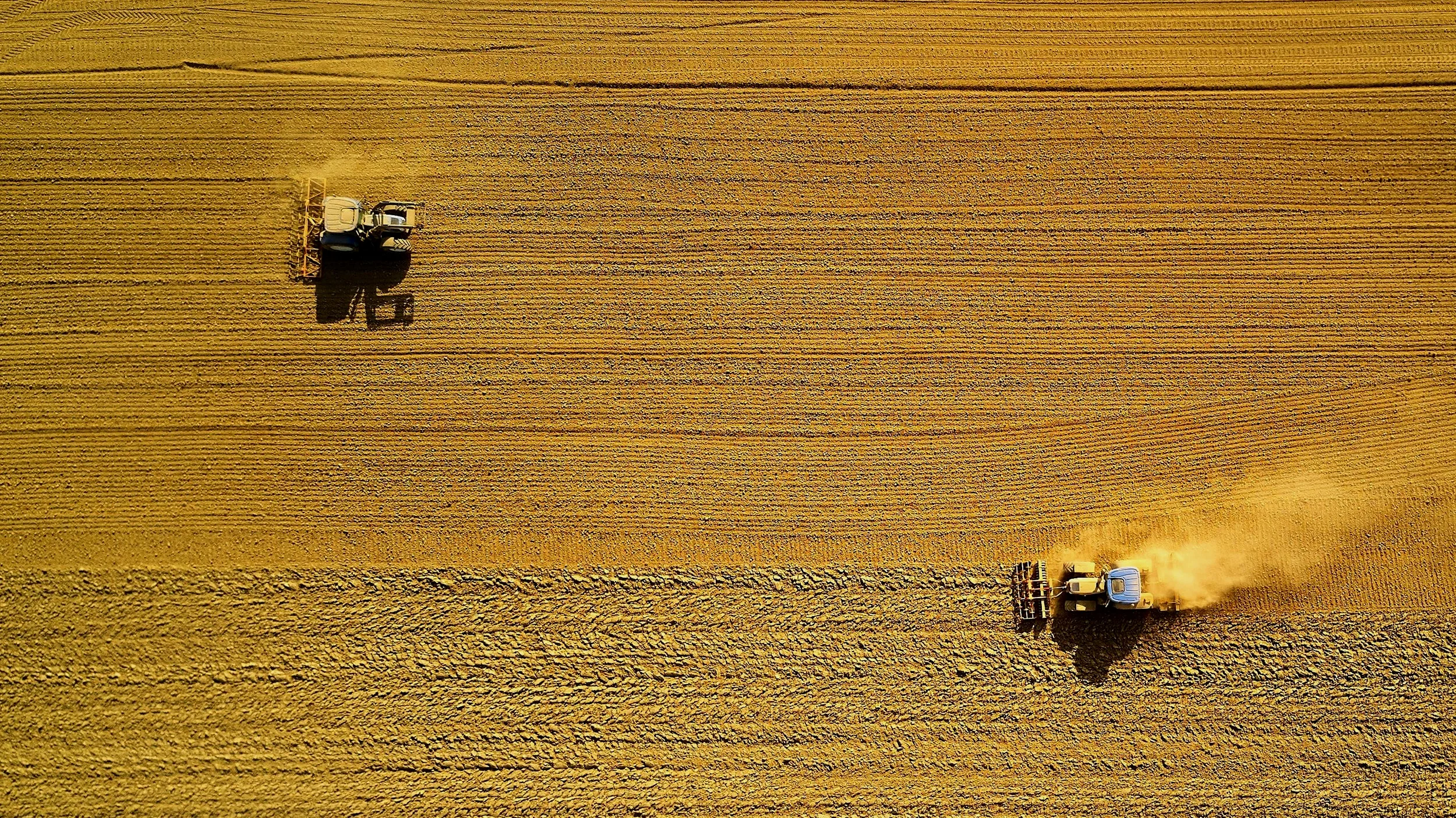 HARVESTjohny-goerend-393401-unsplash.jpg