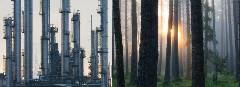 refineryTrees.png