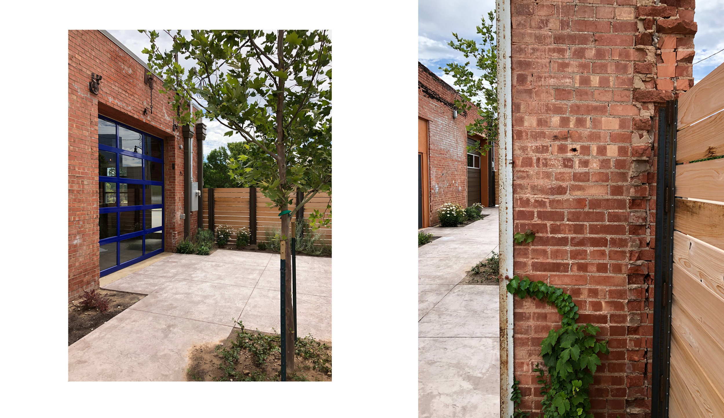  Clean minimal courtyards with tables and chairs connect to the southern facade of the building through several windows, doors and overhead garage doors. The shaded space filled with plantings serves as outdoor office or break space, as well as an at