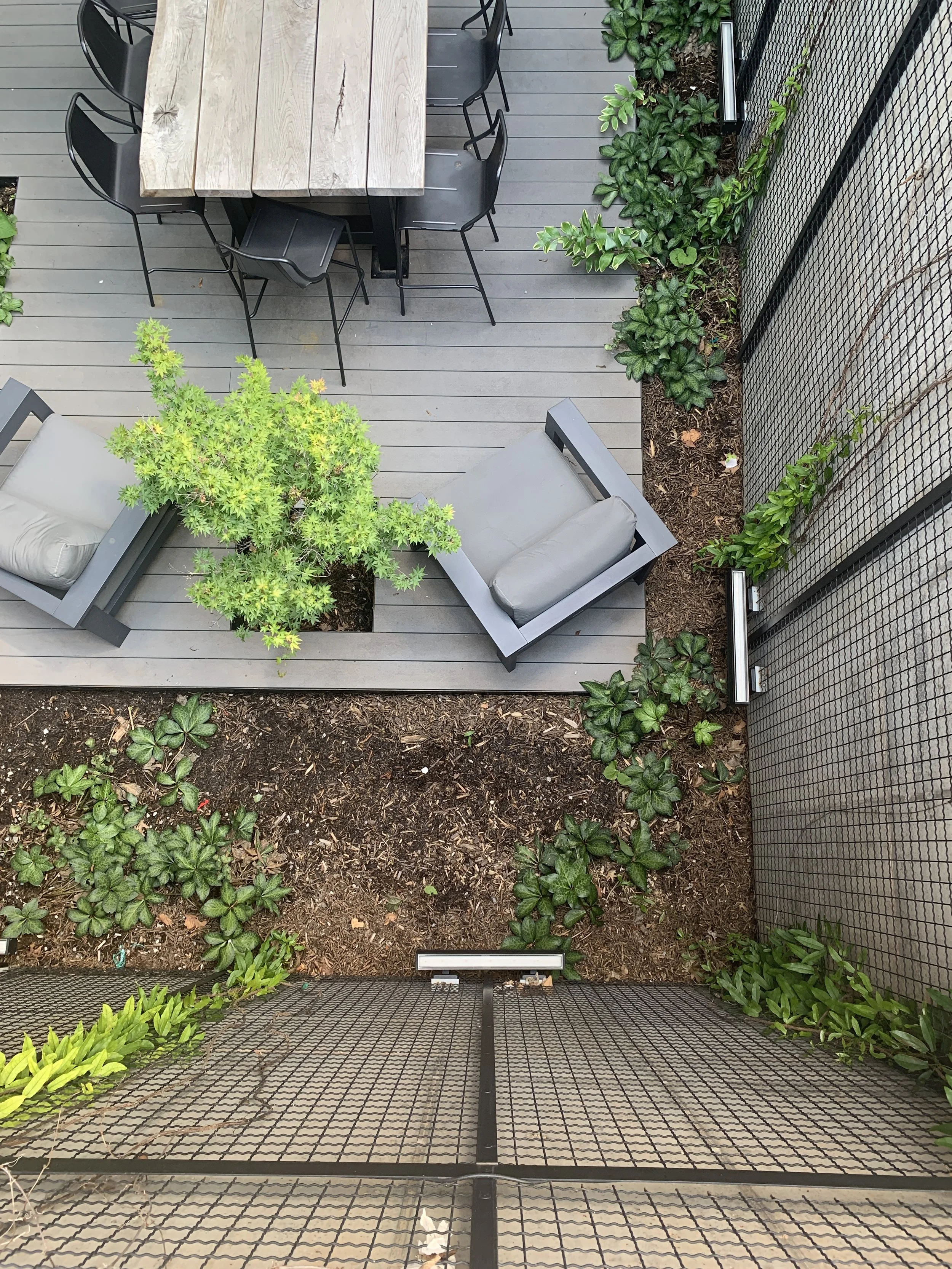  Sunken shafts formerly used to access the building’s basement were planted with shaded woodland plantings.  Concrete walls were outfitted with metal screens and vines were trained up to soften the views.   