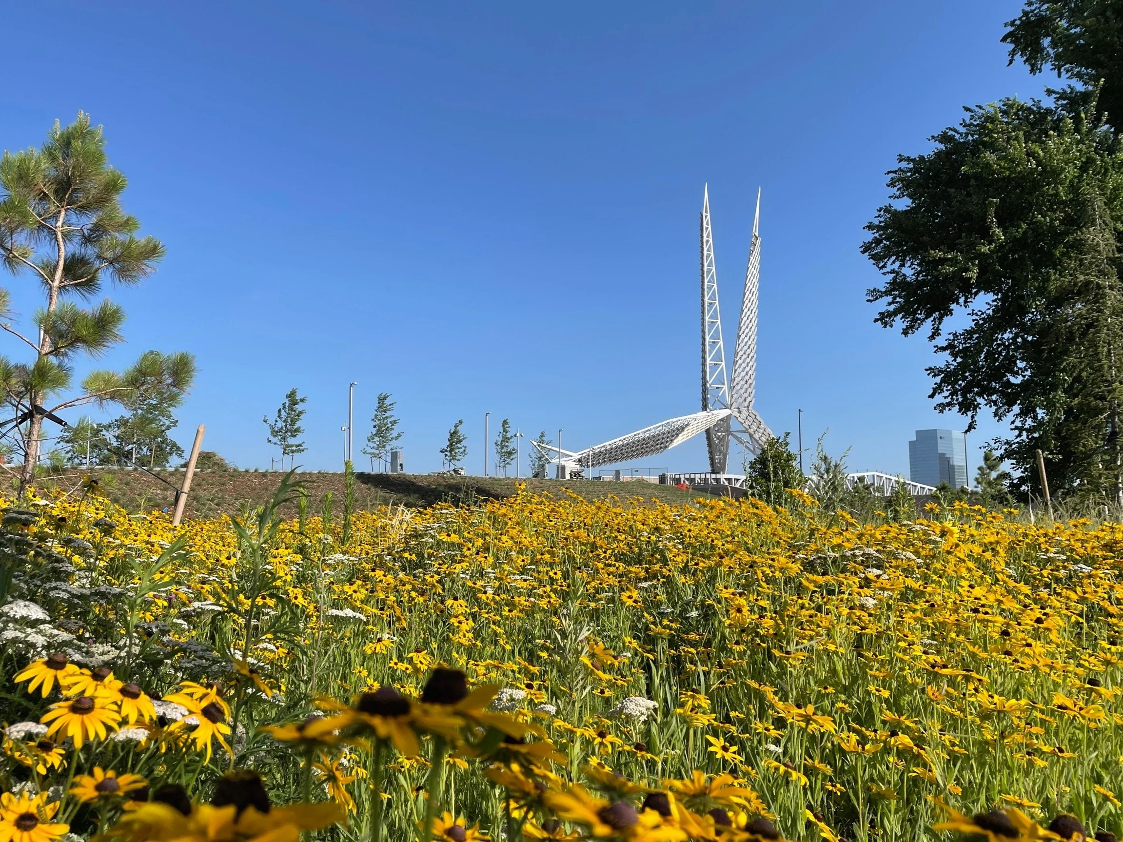  The park is visited by 500,000 + visitors per year. LAUD looked at visitor patterns and crafted a plant selection with interest to take advantage of peak visitation times. 