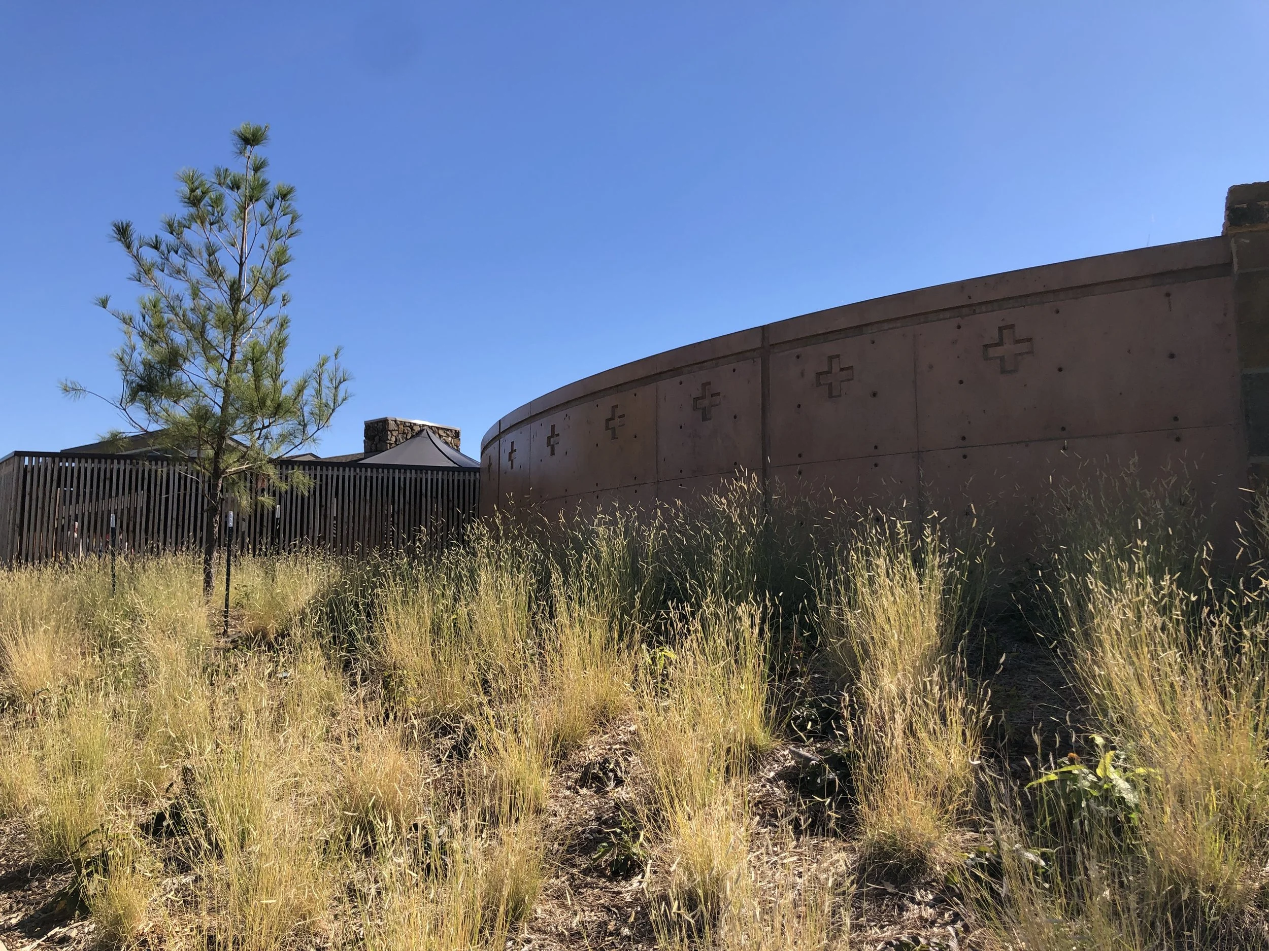  Cherokee crosses were embedded into the circular concrete formwork.  Native plants with cultural and medicinal qualities were used throughout.   
