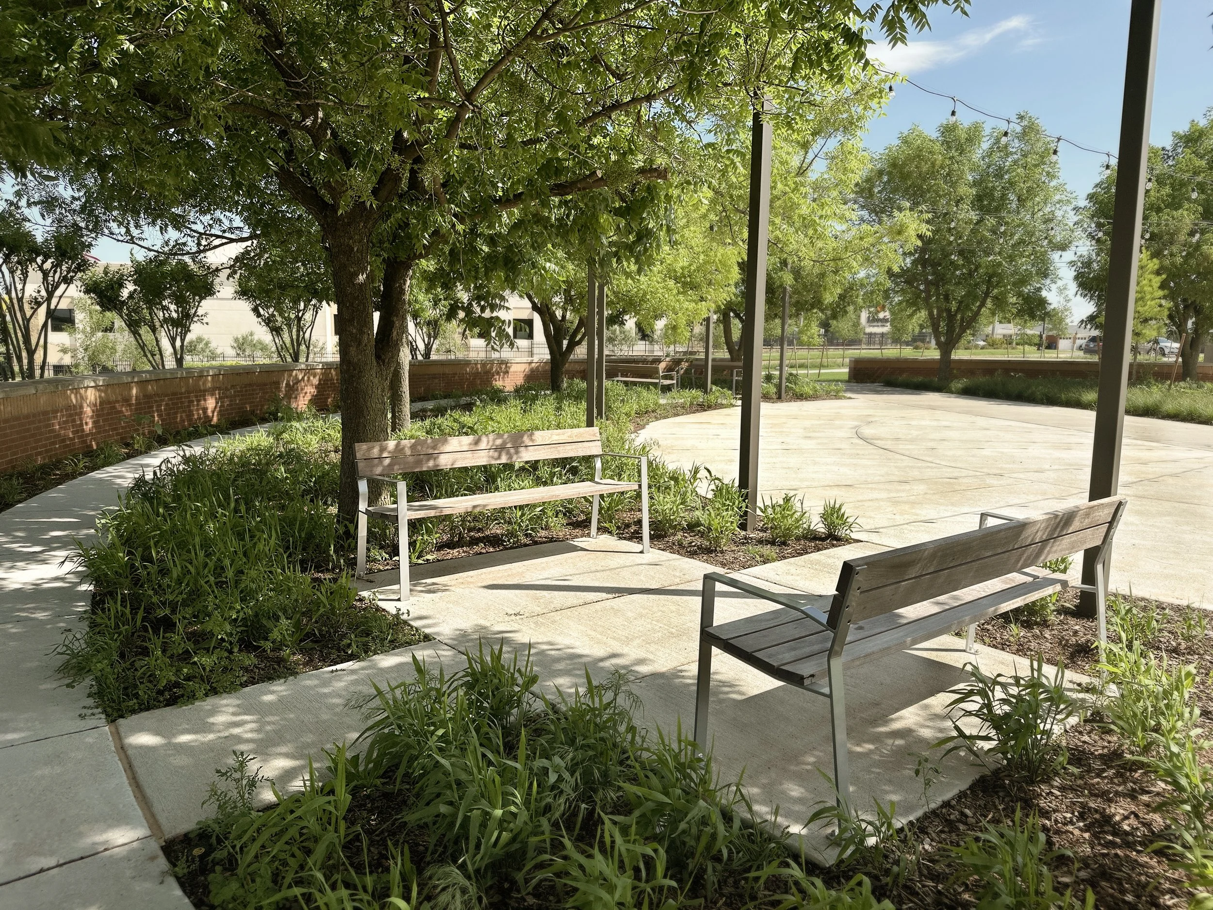  The Village Green is renovated with benches and shade tolerant planting nestled under the established tree canopy creating a comfortable reading garden outside of the Library. An adjacent small plaza and amphitheater is used for book readings and sm