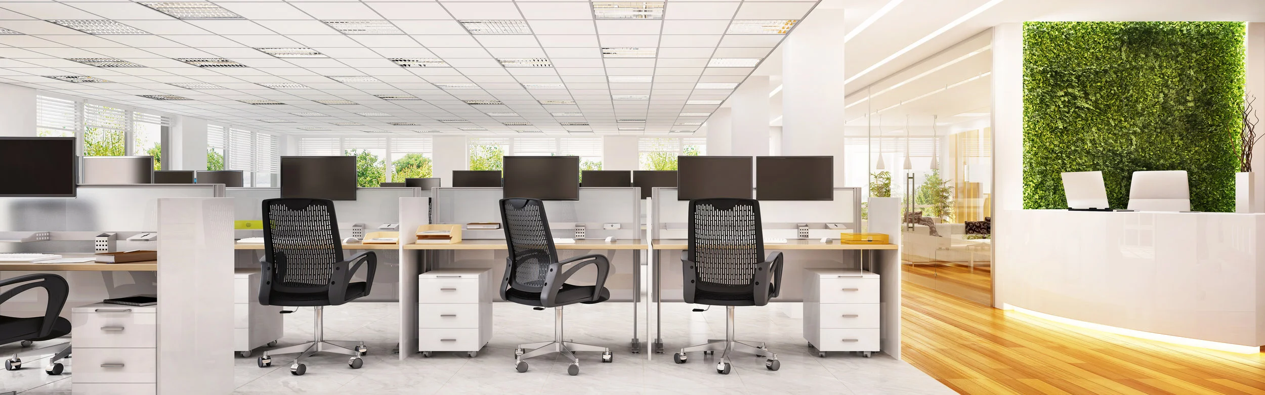Bessa_Ergonomics-1.jpeg