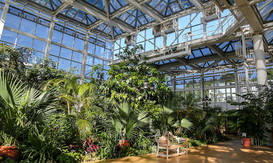 A Night of Jazz at the Botanical Garden