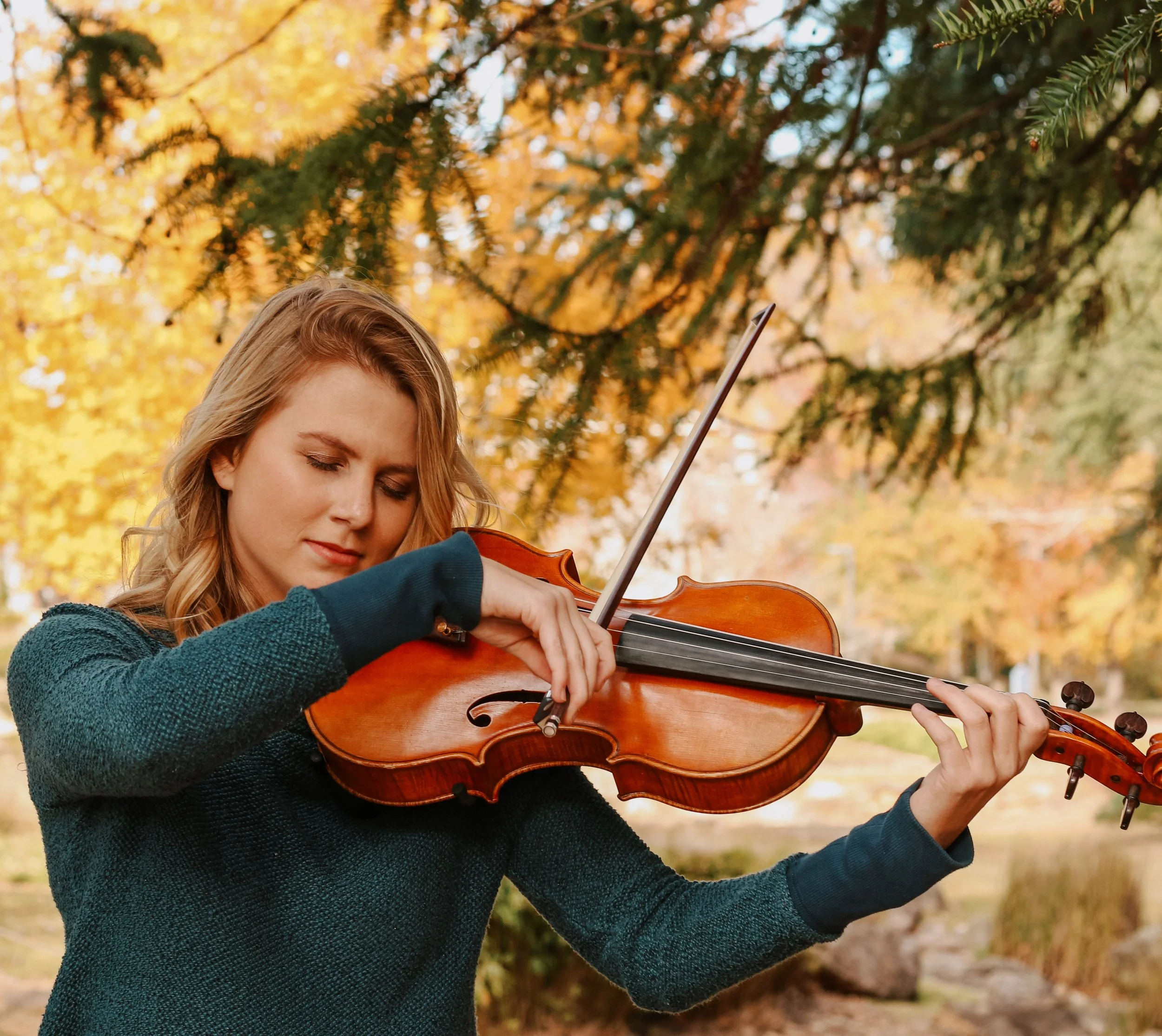 Savannah York, viola