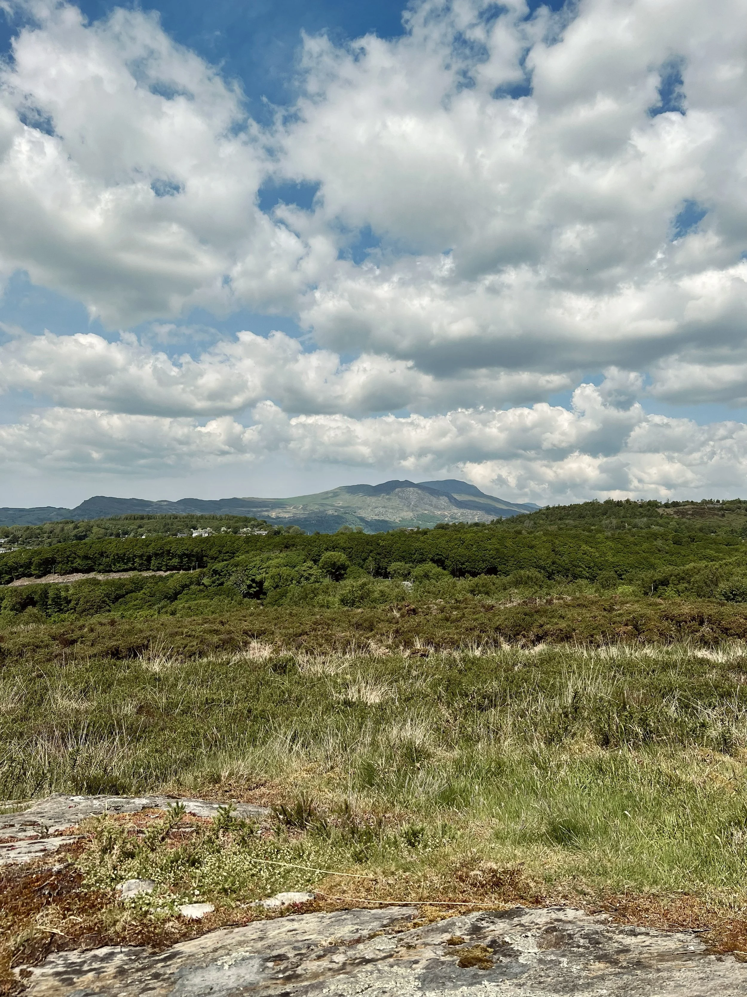 Gwaith Powdwr Nature Reserve