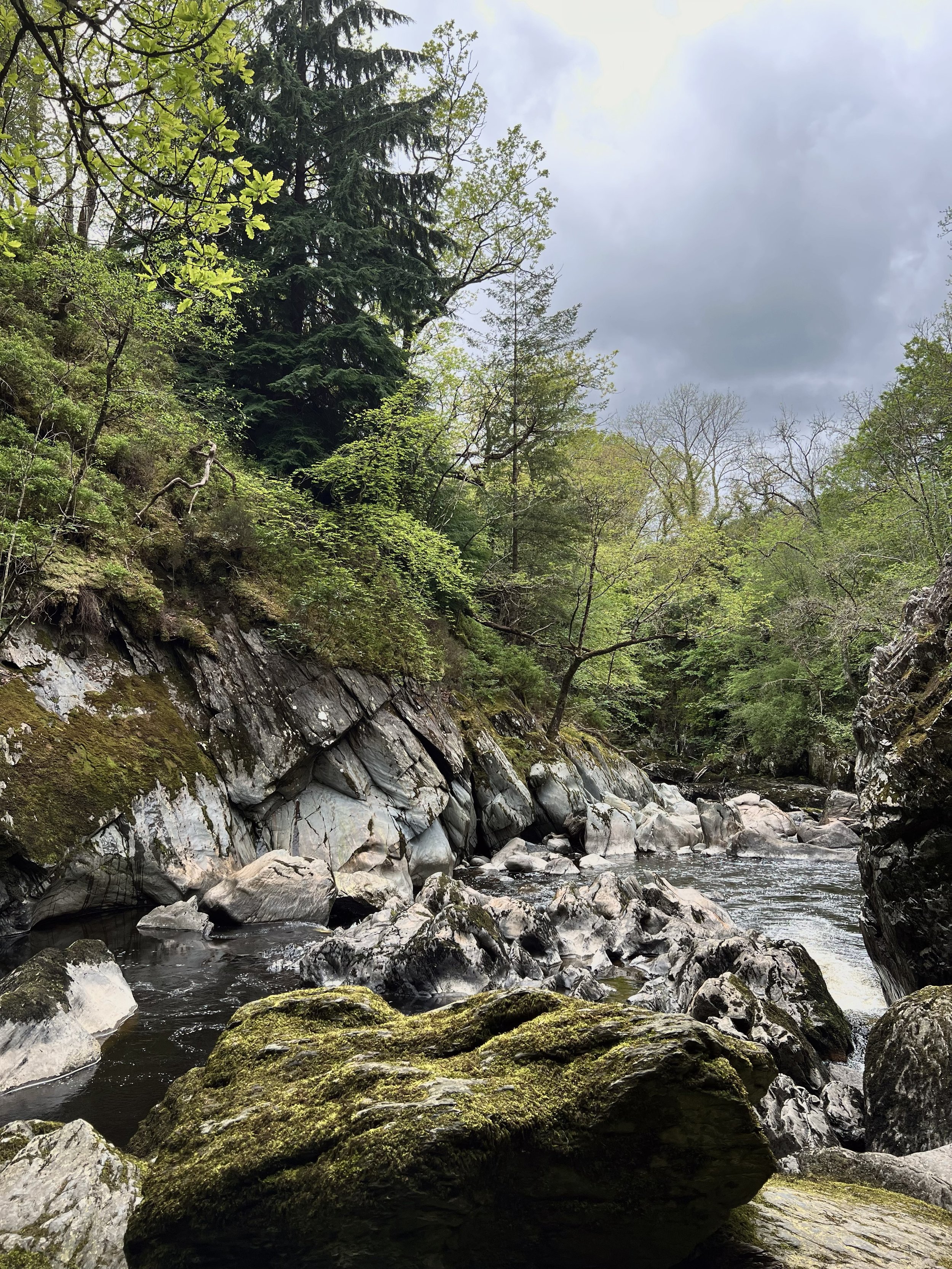 Conwy Falls and Fairy Glen