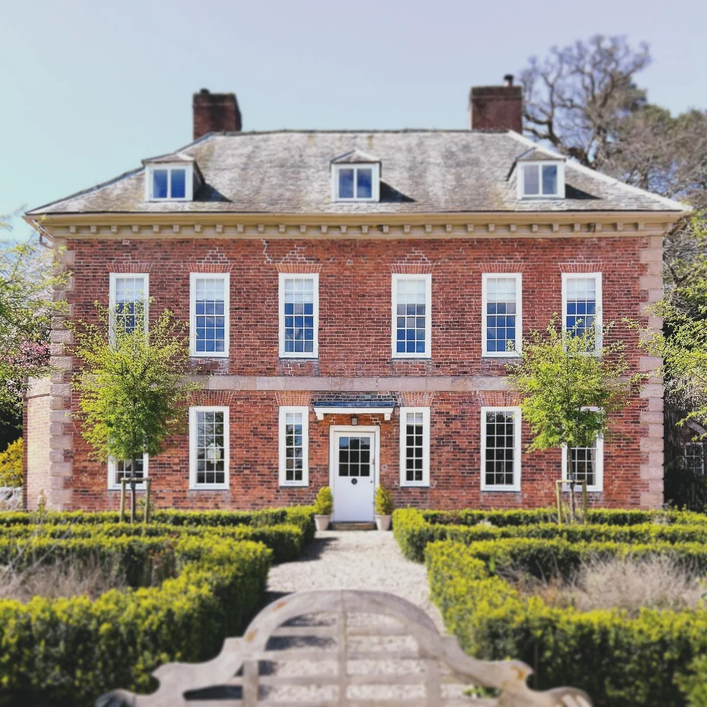 First real sunshine this month, and spring is finally springing! 
The ornamental crab apple trees at the front were a contentious choice, but having seen the number of tiny birds and insects they support, they&rsquo;re a clear win in my book.
Last we