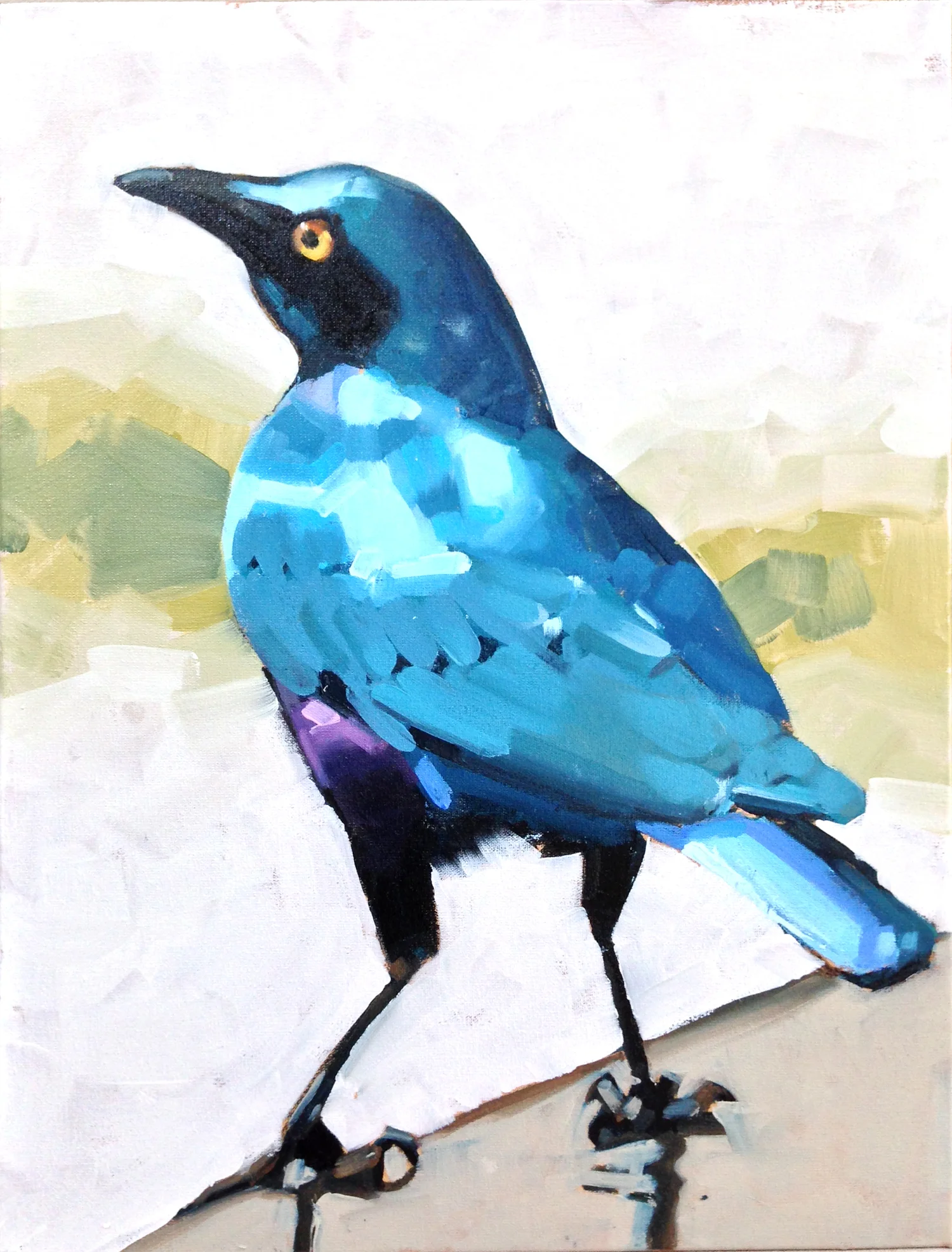 From Birds series / Da série Pássaros