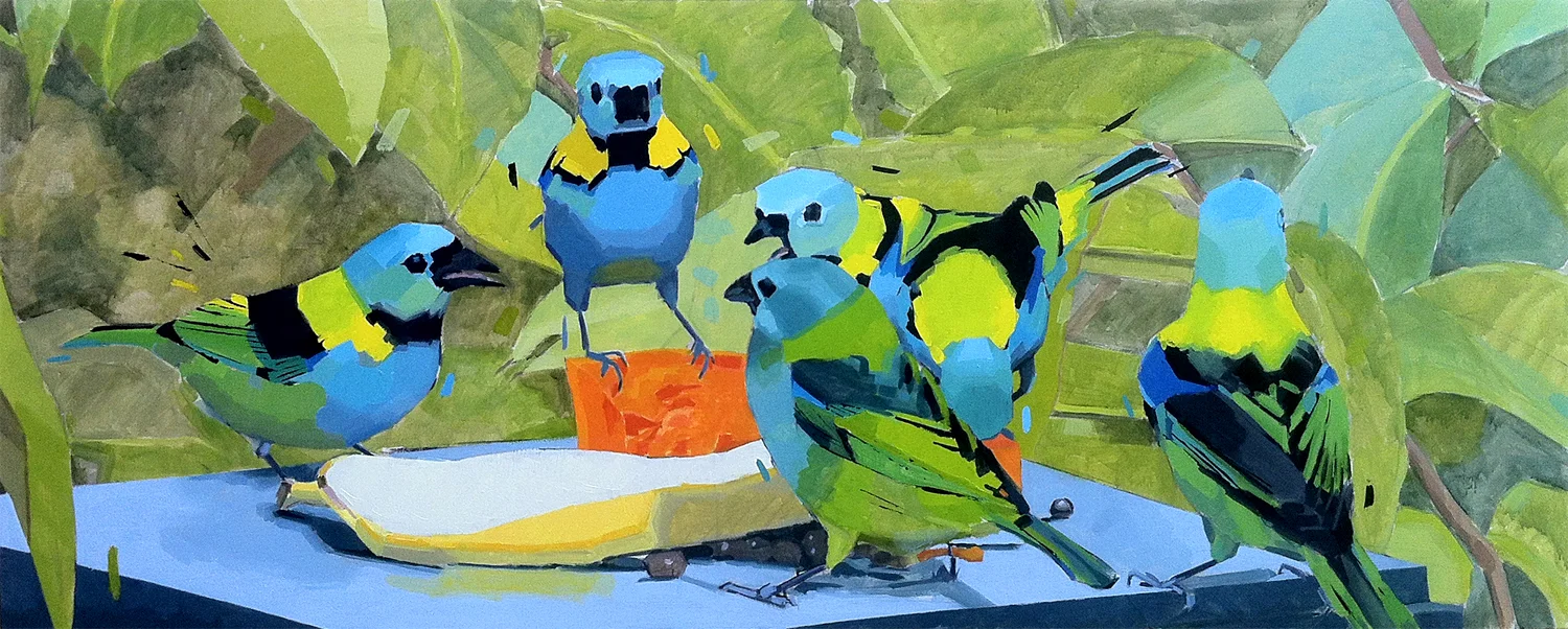 From Tanagers series / Da série Saíras
