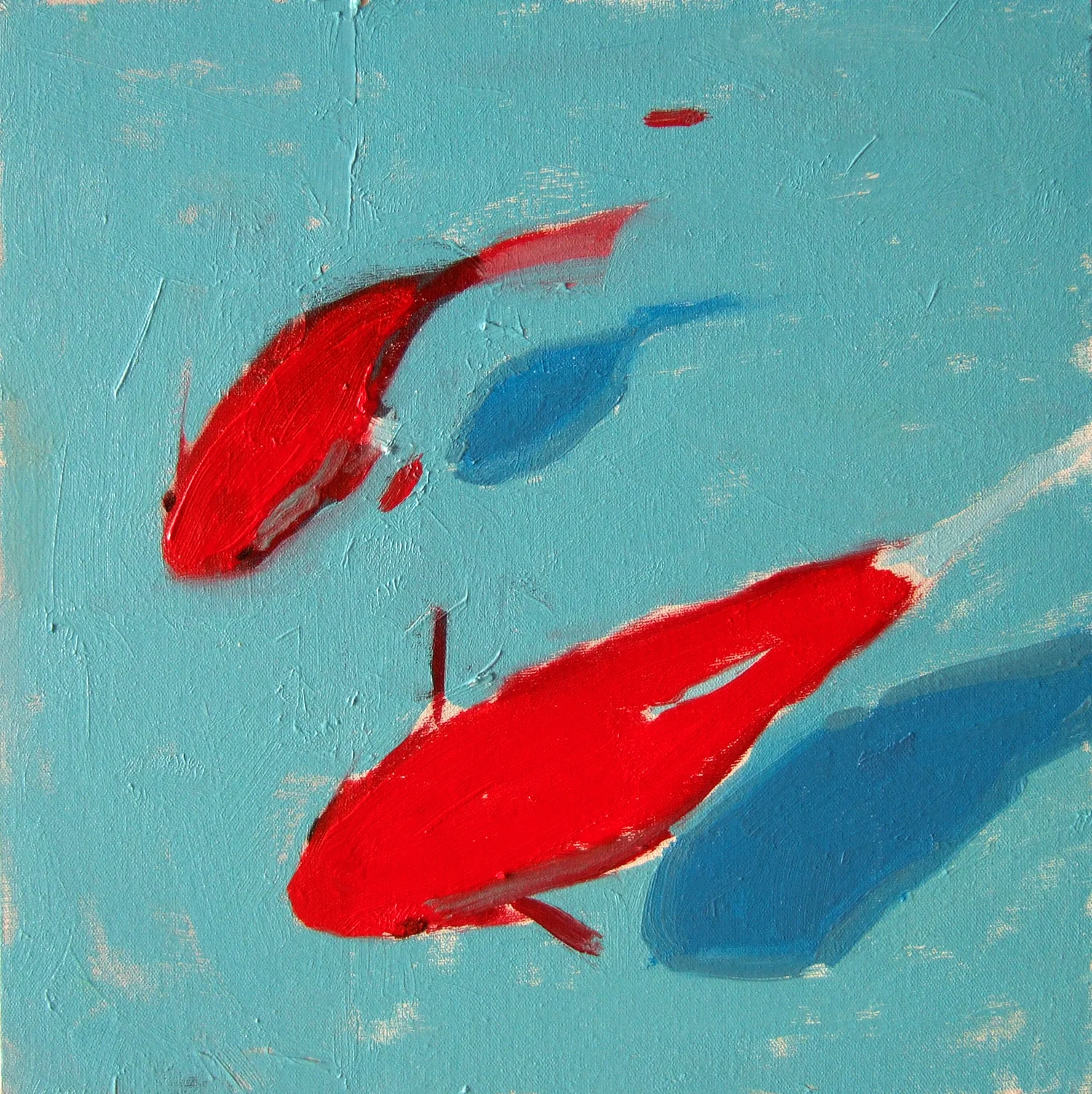 From Koi series / Da série Carpas