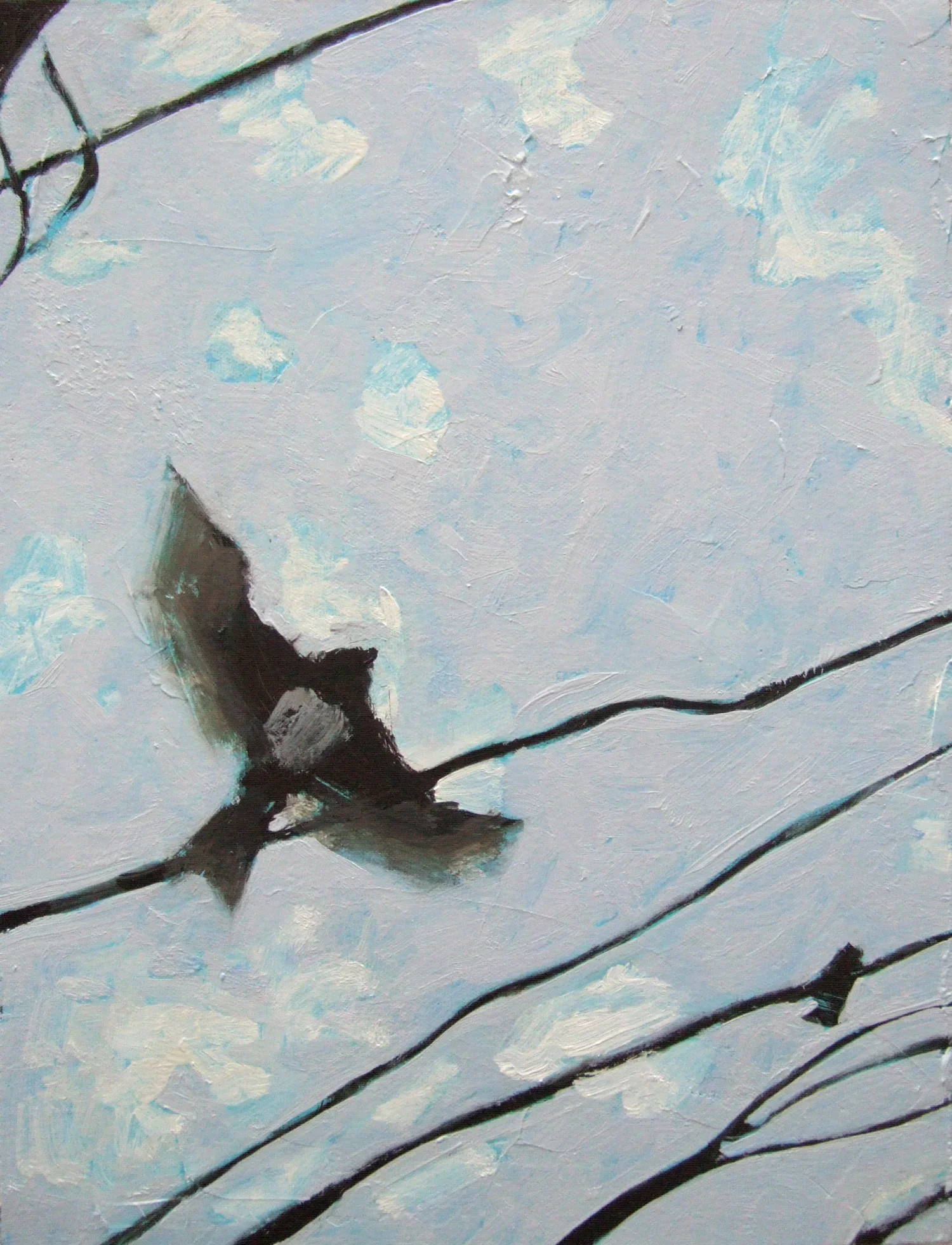 From Starlings series / Da série Andorinhas